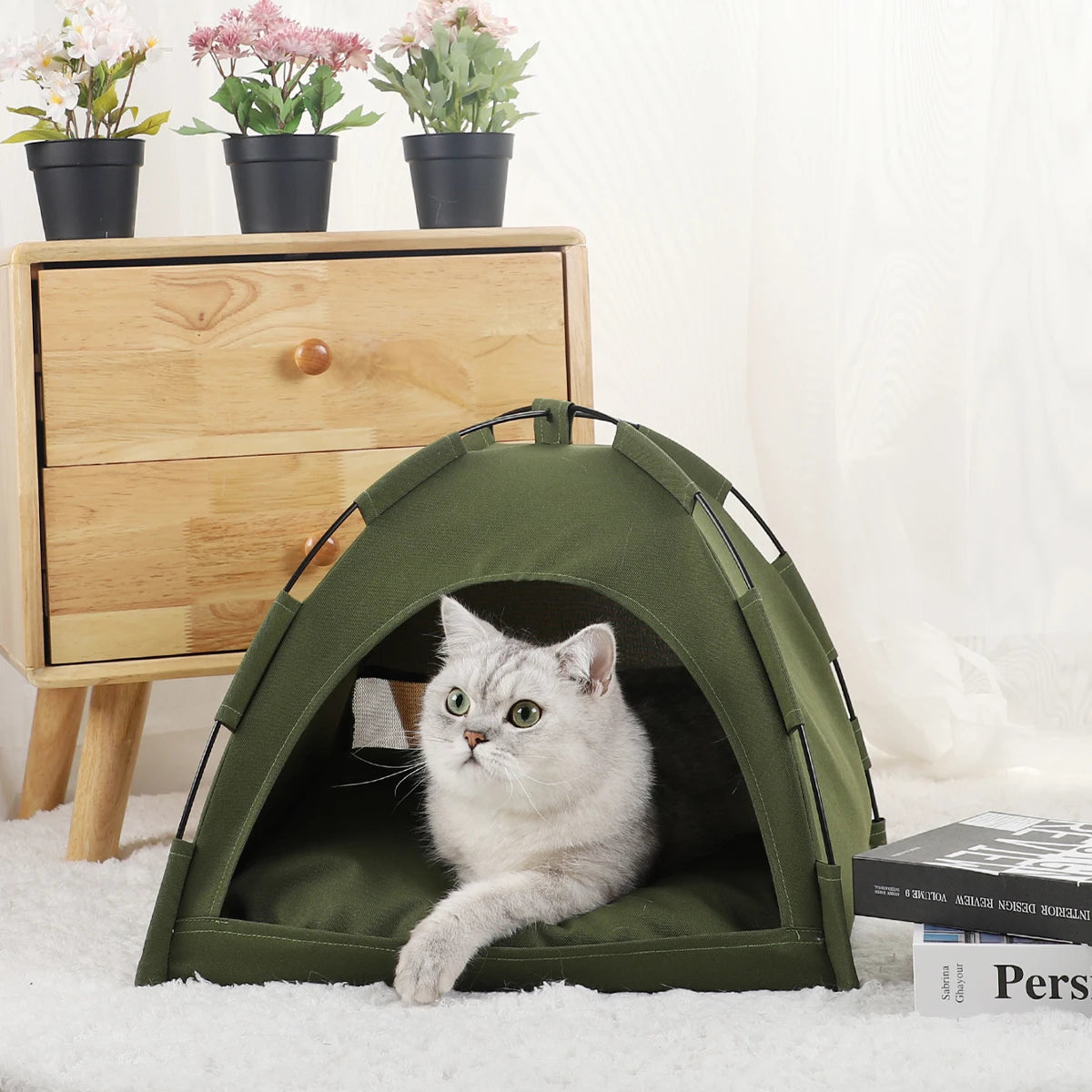Caminha PET Camp Toca Com Frete Gratis