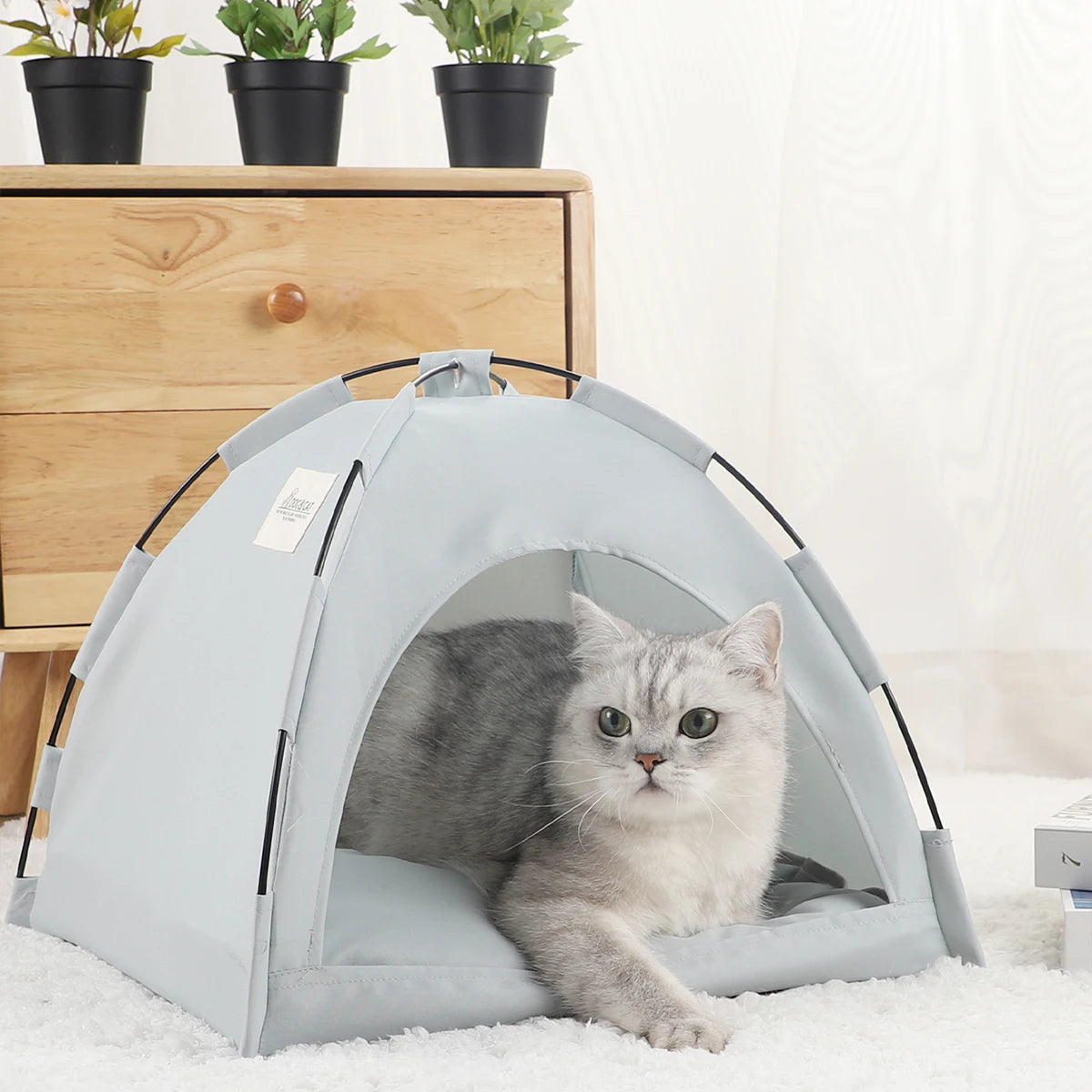Caminha PET Camp Toca Cor Cinza Com Frete Gratis Shopanda