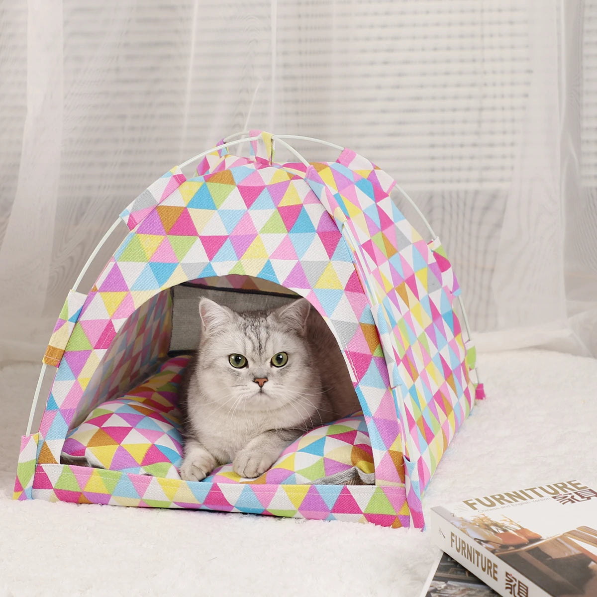 Caminha PET Camp Toca Cor Colorido Com Frete Gratis Shopanda