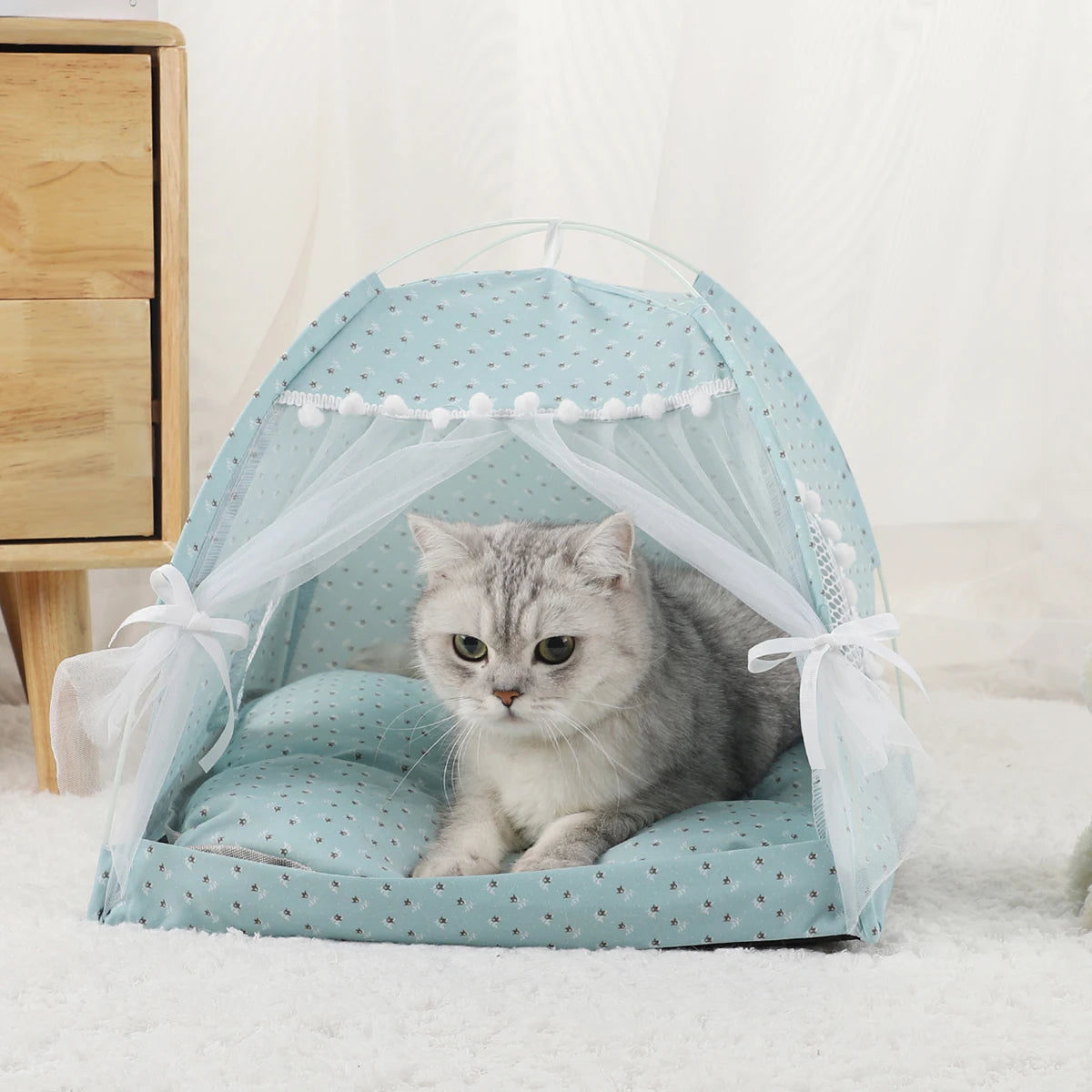 Caminha PET Camp Toca Cor Com Frete Gratis Shopanda