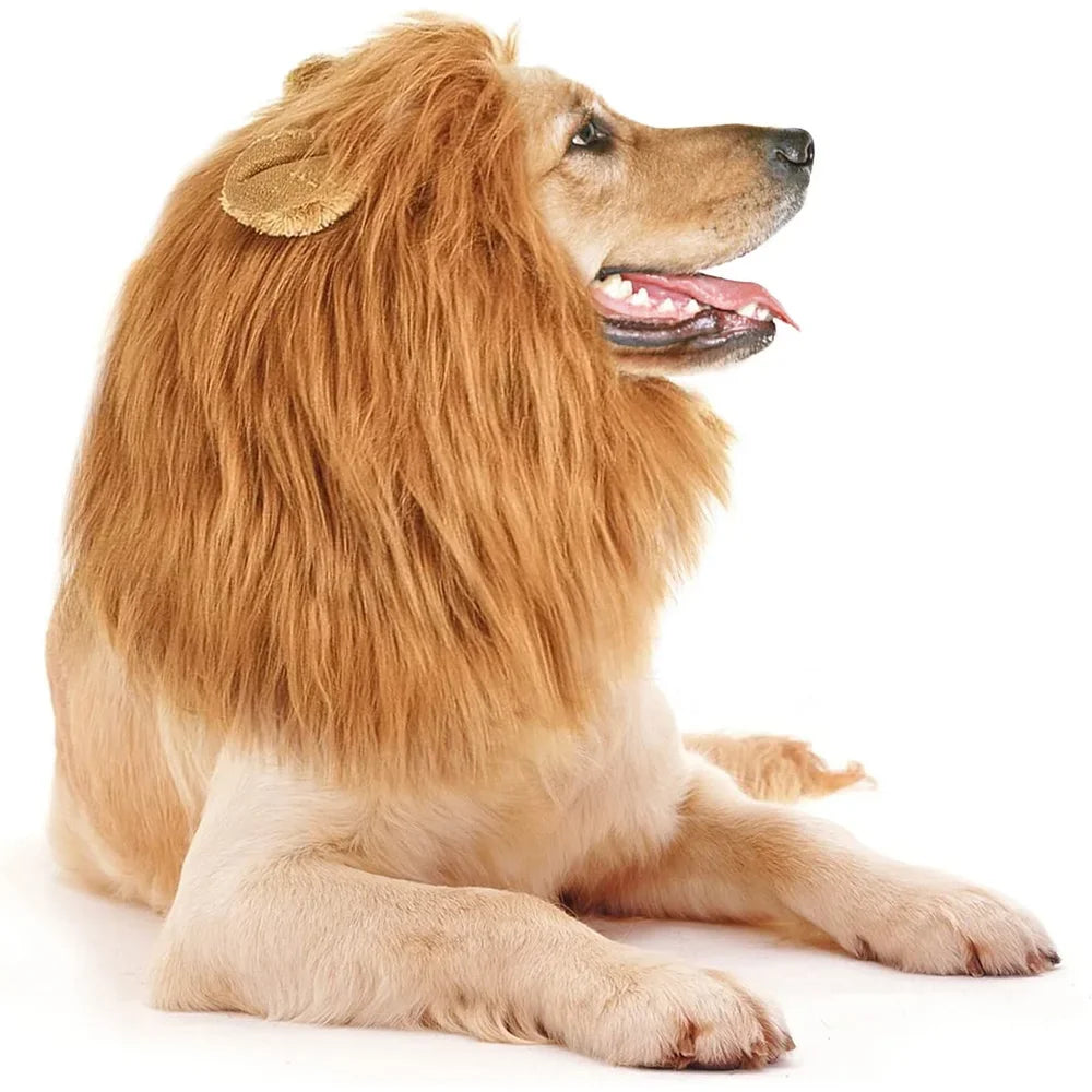 Chapeu PET Simba Marrom Claro com Frete Gratis na Shopanda