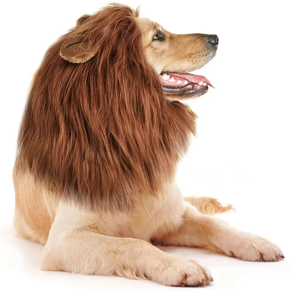 Chapeu PET Simba Marrom Escuro com Frete Gratis na Shopanda