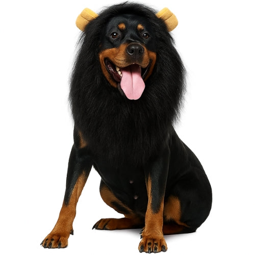 Chapeu PET Simba Preto com Frete Gratis na Shopanda