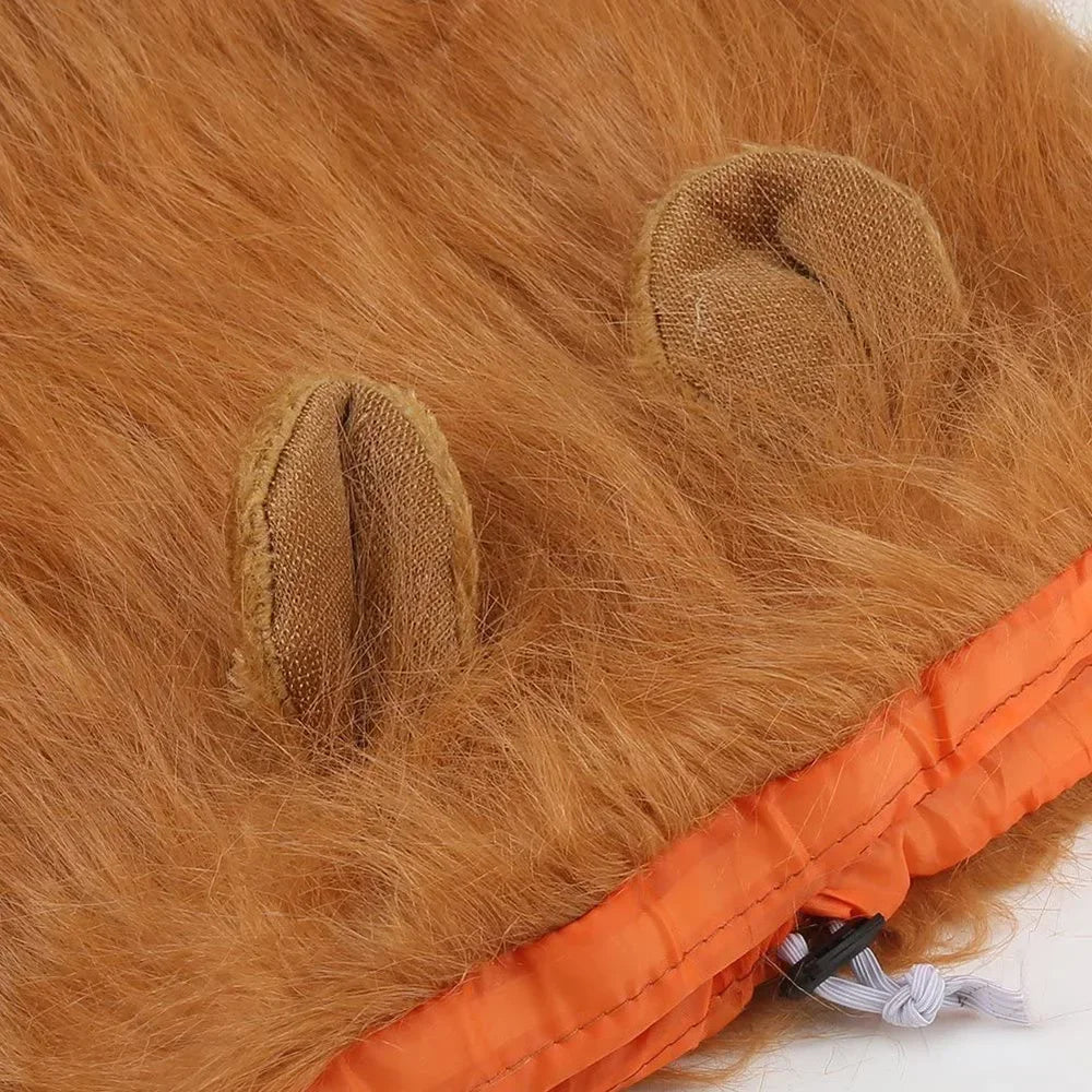 Chapeu PET Simba com Frete Gratis na Shopanda