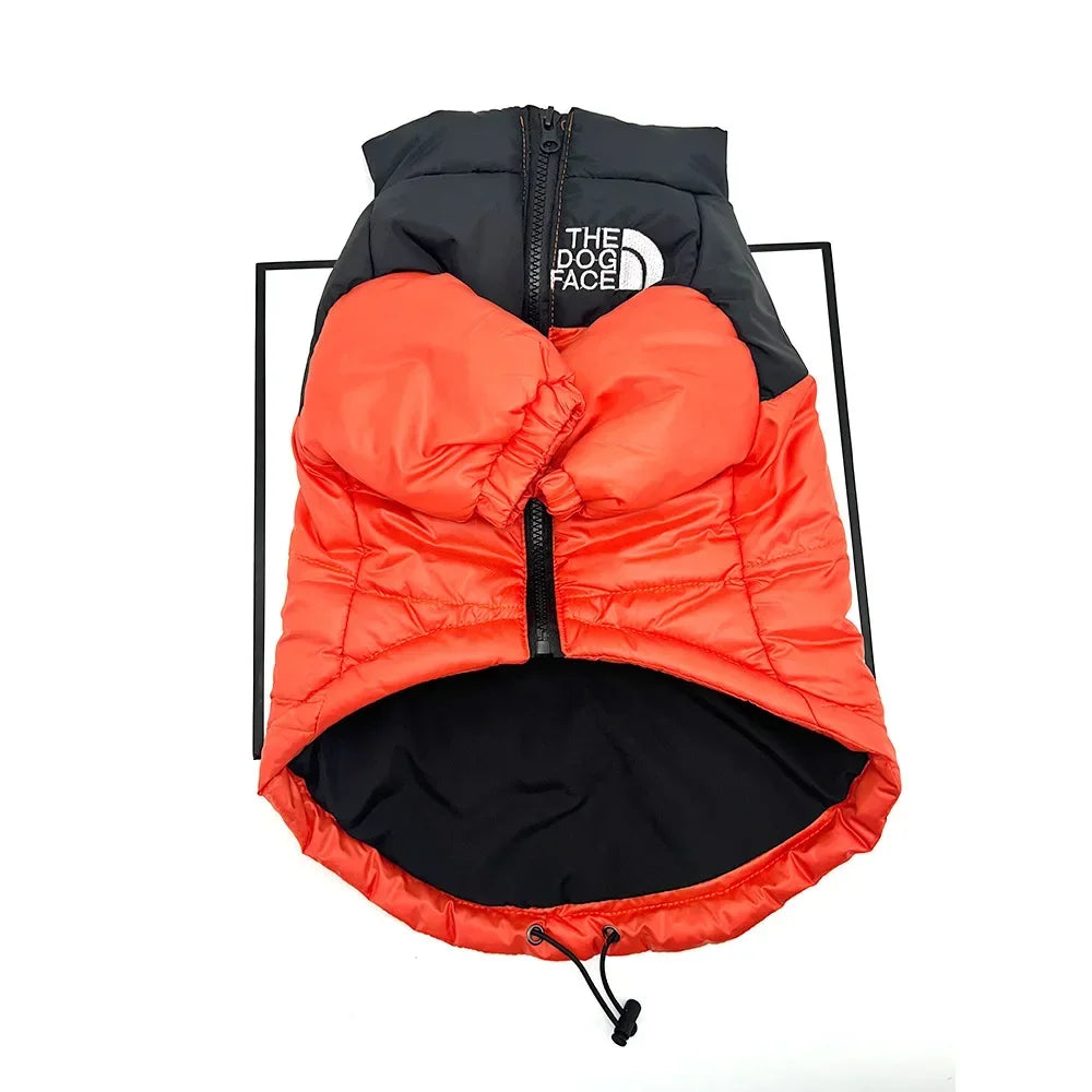 Roupa PET The Dog Face Cor Laranja com Frete Gratis na Shopanda