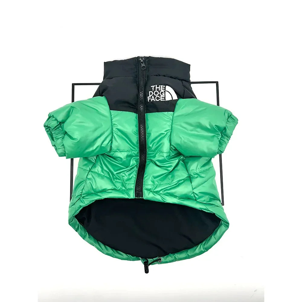 Roupa PET The Dog Face Cor Verde com Frete Gratis na Shopanda