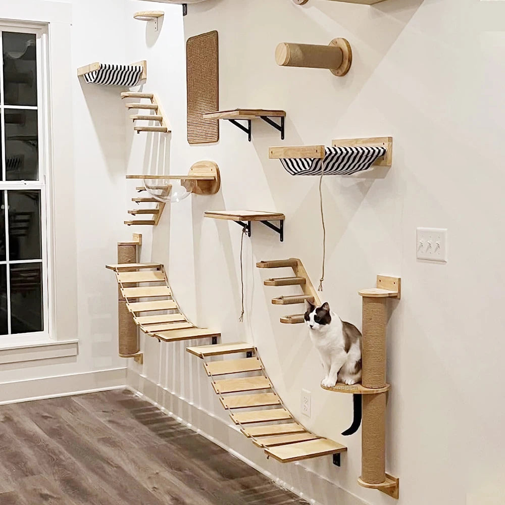 Fun Wall | Nicho para Gato