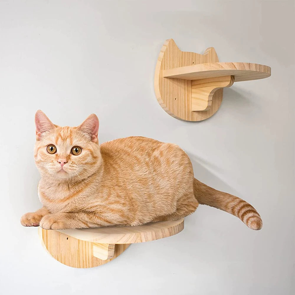 Fun Wall | Nicho para Gato