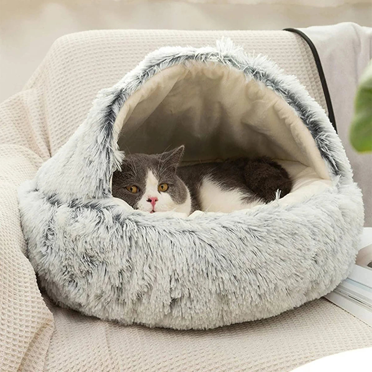 Caminha PET Confort Toca Com Frete Gratis Shopanda