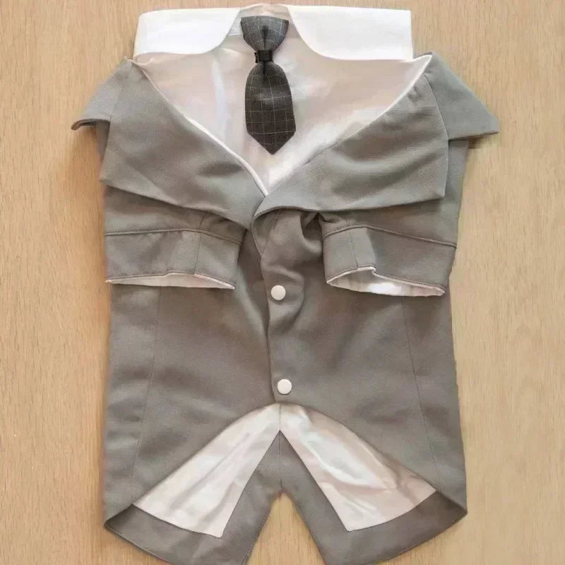 Terninho Roupa PET Cor Cinza com Frete Gratis na Shopanda