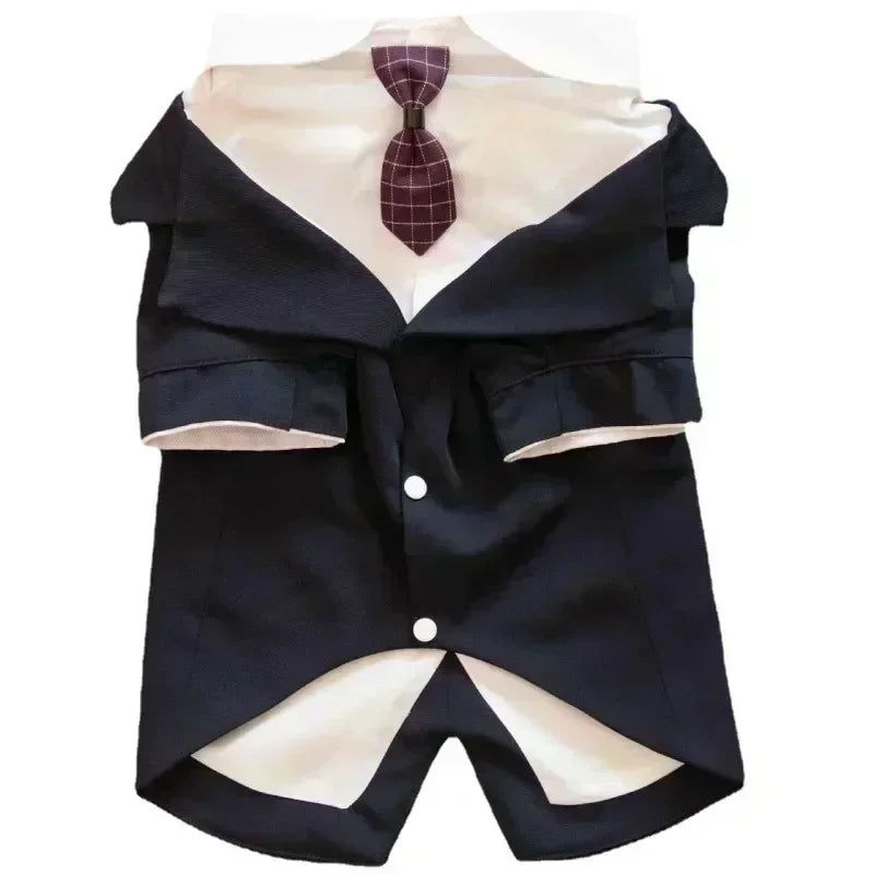 Terninho Roupa PET Cor Preto com Frete Gratis na Shopanda