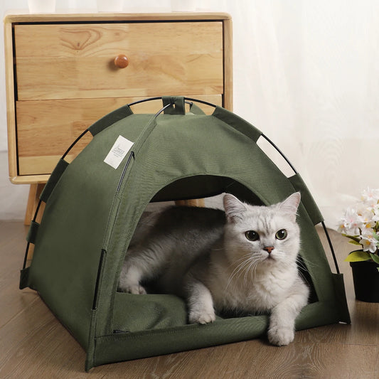 Caminha PET Camp Toca Com Frete Gratis