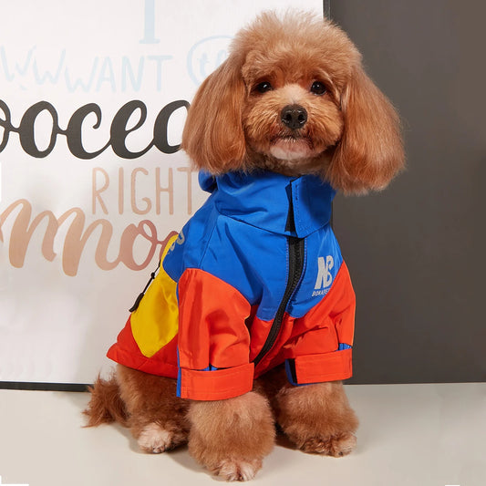 Jaqueta Roupa PET com Frete Gratis na Shopanda 