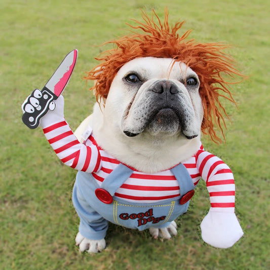 Roupa PET Chucky com Frete Gratis na Shopanda 