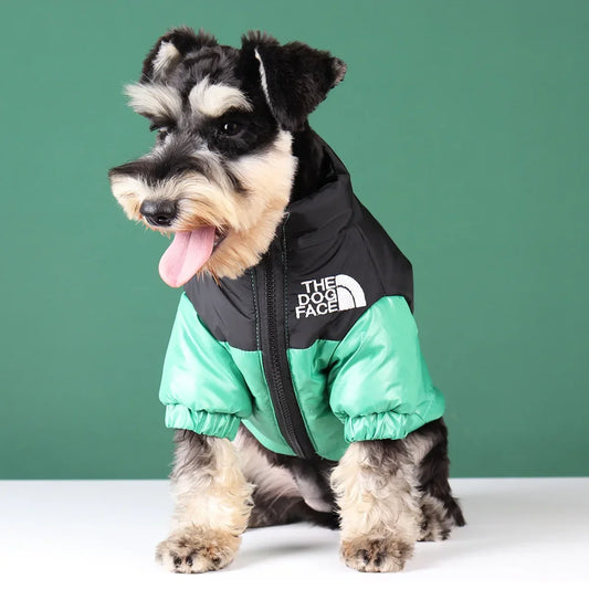 Roupa PET The Dog Face com Frete Gratis na Shopanda 