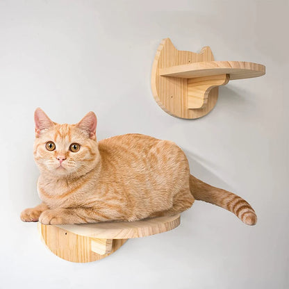 Fun Wall | Nicho para Gato
