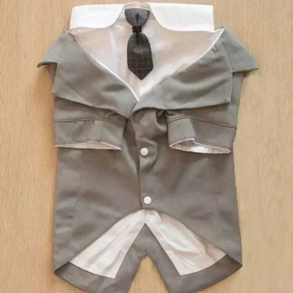 Terninho Roupa PET Cor Cinza com Frete Gratis na Shopanda 