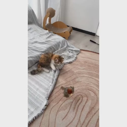 Brinquedo Para Gato Passarinho Voador Com Frete Grátis na Shopanda